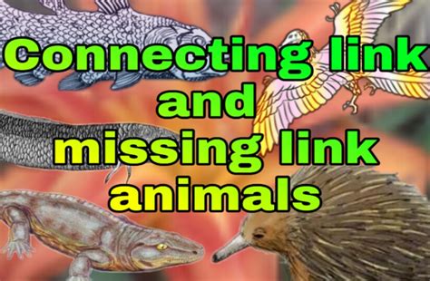 What is a Yukon Animal, and Could It Be a Missing Link in the Animal Kingdom?