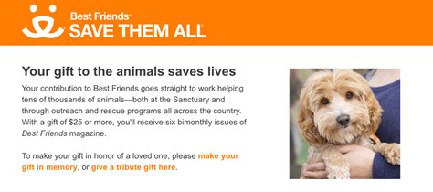 What is the Most Honest Animal Charity? And Does Transparency Really Matter in Animal Welfare Organizations?